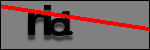 Testo da Identificare