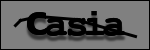Testo da Identificare
