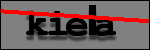 Testo da Identificare