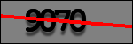 Testo da Identificare