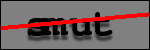 Testo da Identificare