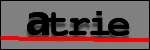Testo da Identificare
