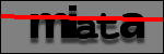 Testo da Identificare