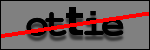 Testo da Identificare