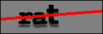 Testo da Identificare