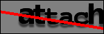 Testo da Identificare
