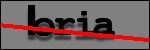 Testo da Identificare