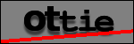 Testo da Identificare