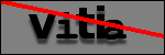 Testo da Identificare