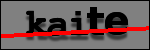 Testo da Identificare
