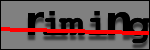 Testo da Identificare