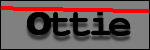 Testo da Identificare