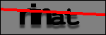 Testo da Identificare
