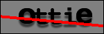 Testo da Identificare