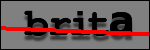 Testo da Identificare