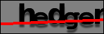 Testo da Identificare
