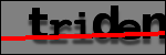 Testo da Identificare