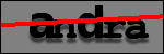 Testo da Identificare