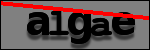 Testo da Identificare