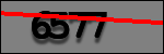 Testo da Identificare
