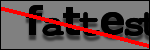 Testo da Identificare