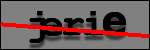 Testo da Identificare
