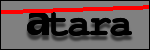 Testo da Identificare