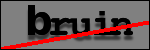 Testo da Identificare