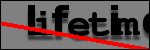Testo da Identificare