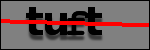 Testo da Identificare