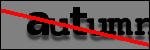 Testo da Identificare