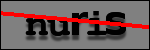 Testo da Identificare