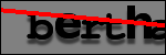 Testo da Identificare