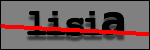 Testo da Identificare