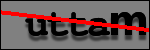 Testo da Identificare