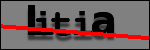 Testo da Identificare