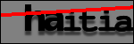 Testo da Identificare
