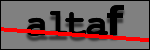 Testo da Identificare