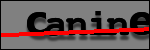 Testo da Identificare