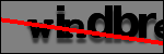 Testo da Identificare