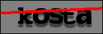 Testo da Identificare