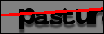 Testo da Identificare
