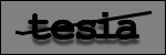 Testo da Identificare