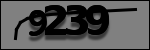 Testo da Identificare