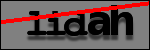 Testo da Identificare