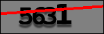 Testo da Identificare
