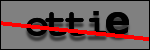 Testo da Identificare