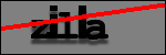 Testo da Identificare