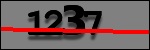 Testo da Identificare