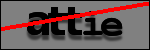 Testo da Identificare